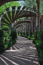 Unique arched walkway, downtown Phoenix, Arizona.