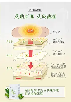 日本DR.ROTUS 足贴祛湿排湿毒 老北京艾灸足贴艾叶去湿气脚贴艾草贴男女老寒腿驱寒保暖排湿足底贴 祛湿艾灸足贴1盒（4片/盒）【图片 价格 品牌 报价】-京东