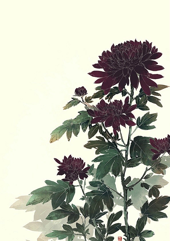 菊花
