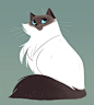 Daily Cat Drawings