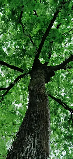 苹果ios26景深3D锁屏壁纸‖【495期】 - 今日头条