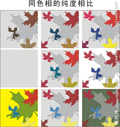 董佳源采集到同色相对比