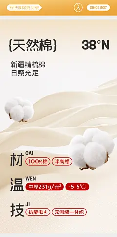 231克厚款100%棉半高领防静电打底秋衣秋裤保暖内衣男套装