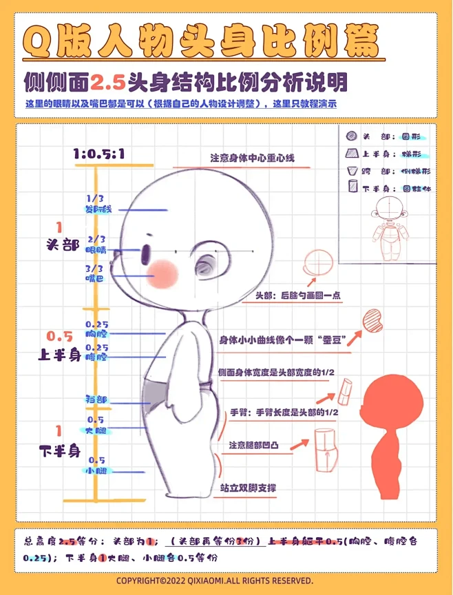 2.5头身Q版结构比例教程（正面、侧面、...