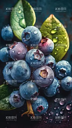 蓝莓  - 源文件下载【酷图网】水果,蓝莓,新鲜,美味,现摘,高清,壁纸,手机壁纸