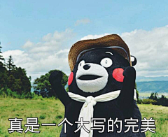 凉风子采集到霓虹·KUMAMON