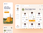 Camper UI/UX