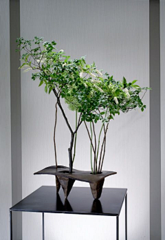 春天rebacca采集到花艺，摆件