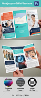 Trifold Brochure - Corporate Flyers