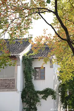 小场景 - 首页 - 微博