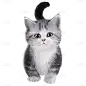 手绘-写实风动物元素贴纸-猫3
