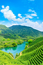自然风景