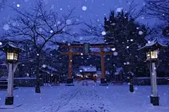 #绘画参考# 雪景 