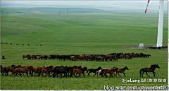 【行摄西域】 骏马奔驰风电场, 闻路旅游攻略