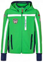 Icepeak - TAIJO - Soft shell jacket - green