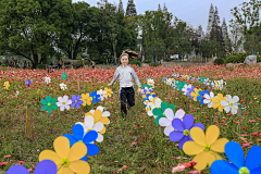 colour_ly采集到乡村氛围图