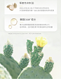 LAN兰时光凝萃精华油 强韧修护屏障轻薄水感抵御初老舒缓皮肤-tmall.com天猫