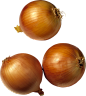 Onion PNG image