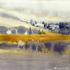 Sveppir采集到纹理