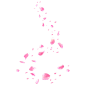 花瓣png