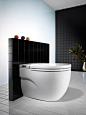 The Gap Rimless Toilet by TROUT Creative Thinking