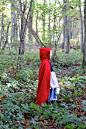 Little Red Riding Hood | oliveus.tv #美景# #小清新#