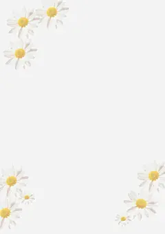漂亮白晶菊_新图网 https://ixintu.com 漂亮 白晶菊 花朵 花卉