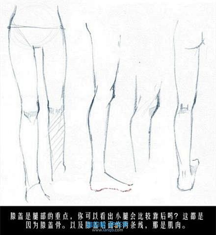 动漫绘画学习：人体躯干（胸部，臀部）、四...