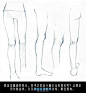 动漫绘画学习：人体躯干（胸部，臀部）、四肢的画法-图文教程-蓝铅笔