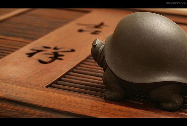 茶宠