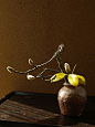 Ikebana design Asian style flower arrangement: 