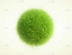 白起a采集到植物叶子