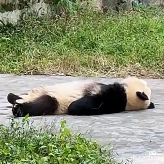 醉奶...