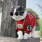 宠物猫咪衣服秋冬保暖雪纳瑞泰迪大型犬金毛拉布拉多泰迪狗狗卫衣-淘宝网