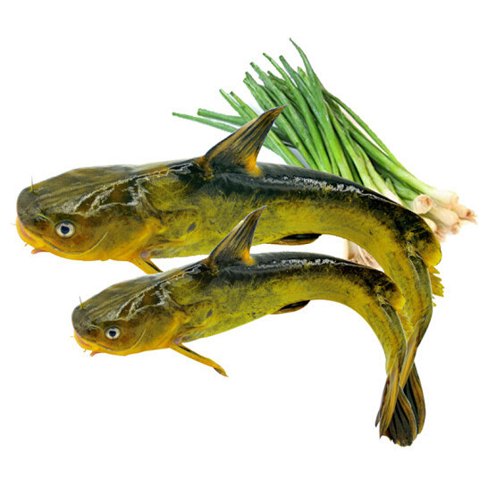 野生昂刺鱼 500g 3-4条 黄颡鱼 淡水鱼 黄骨鱼 黄辣丁 嘎鱼 现杀现发【图片 价格 品牌 报价】-京东