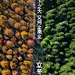 立冬节气地产单图