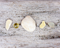 Beach Glass Photography Sea Glass Set of by BLintonPhotography
