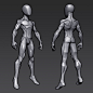 Exercise - Stylized Male Anatomy Blockout