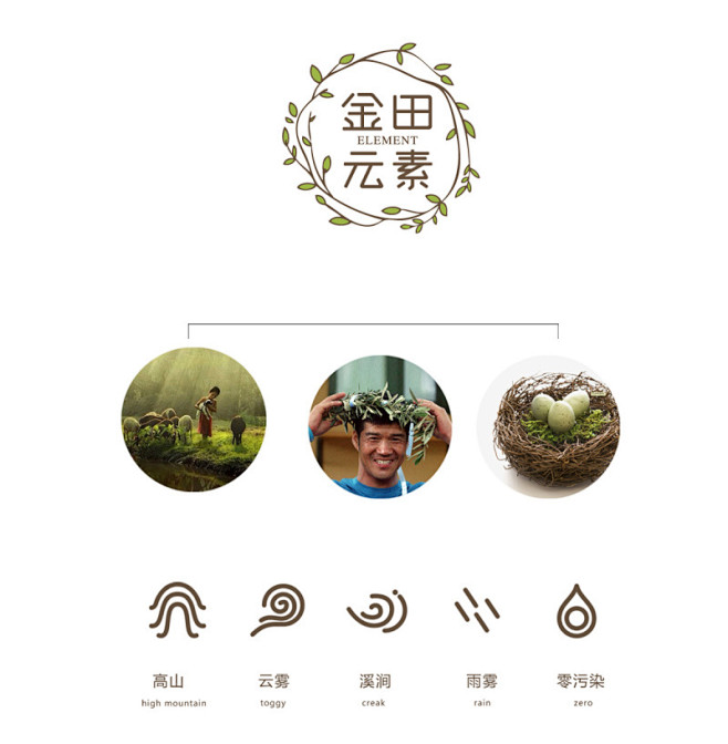 金田农业品牌设计— 绿色、健康、回归自然...
