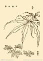 芥子园画谱_百度图片搜索