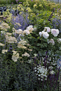 Best of Both Worlds Show Garden at RHS Hampton Court Flower Show