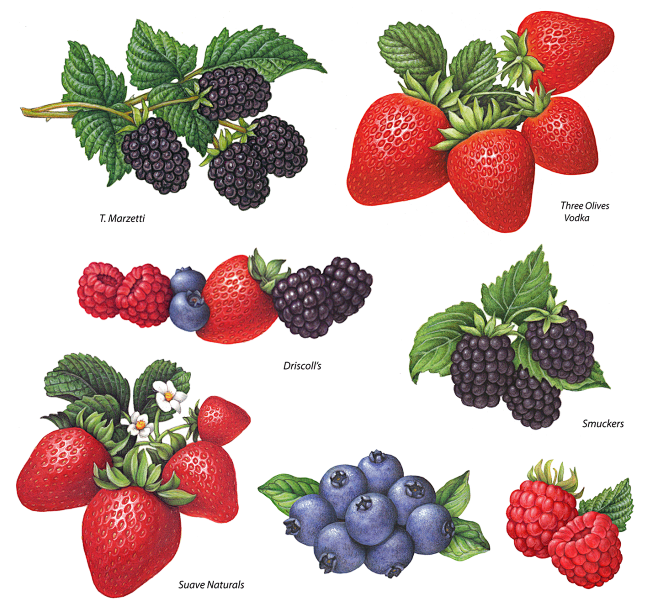 Berry-Packaging proj...