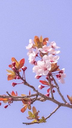 qi_G采集到日常调色