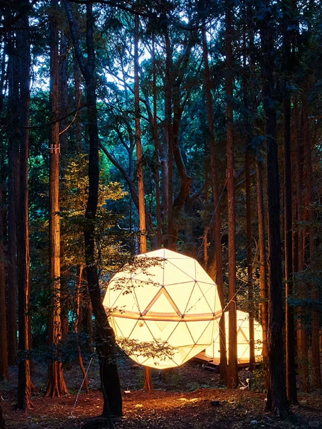 探索全球露营地| 泊まれる公園 INN ...