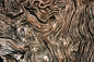 图片：Artwork-wood-grain | The Southland Music Line : 在 Google 上搜索到的图片（来源：thesouthlandmusicline.com）