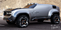 Polestar Next Concept - 小红书