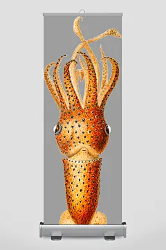 海洋生物动物类设计素材-众图网