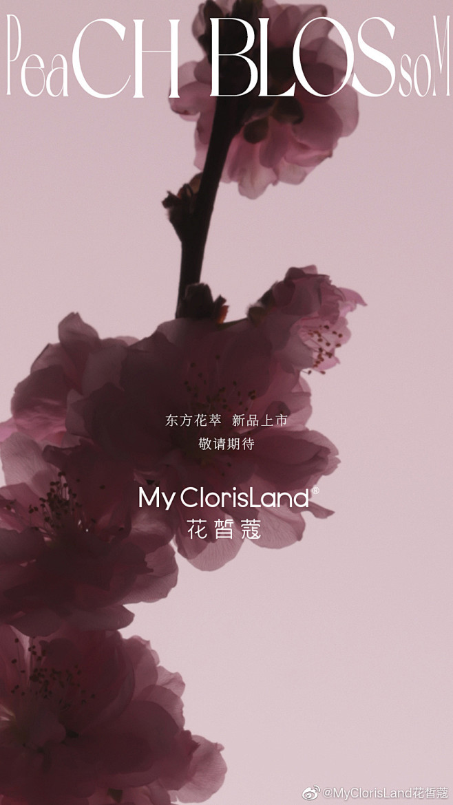 @MyClorisLand花皙蔻 的个人...