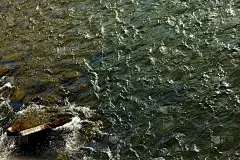 美丽的景色在淡水水面的河流，在春天或秋天的山，壁纸