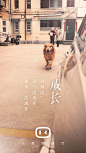 离家那天，我不敢回头说再见 | 小度放映厅_故事 : 之前，我们征集过“我与小度在家的101个故事”，每份讲述都令人动容；而现在，大家与小度的故事，每天都是创作进行时。 我们希望记录下大家与小度之间的动人故事，把美好片段留存，并将它们分享给更多的人！ …